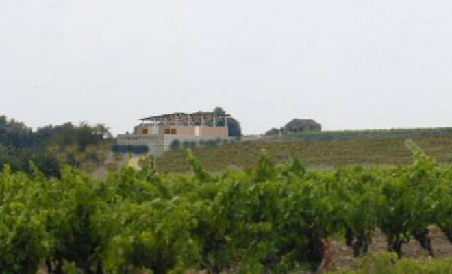 Cave de vinification biologique à La Livinière - Insertion - Treilles - Atelier E